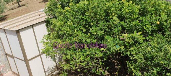 3غرفة منزل في Trapani, Italy رقم 73078 18