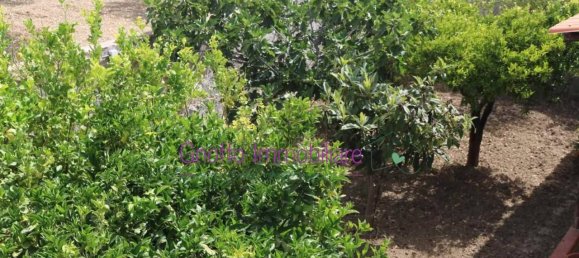 3غرفة منزل في Trapani, Italy رقم 73078 24