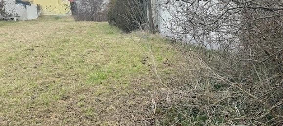 Grundstück in Neusiedl am See, Austria, Nr. 134263 3