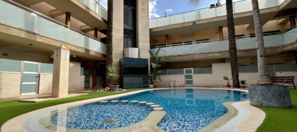 3 bedrooms Townhouse in Pilar de la Horadada, Spain No. 8859 10