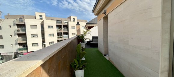 3 bedrooms Townhouse in Pilar de la Horadada, Spain No. 8859 19