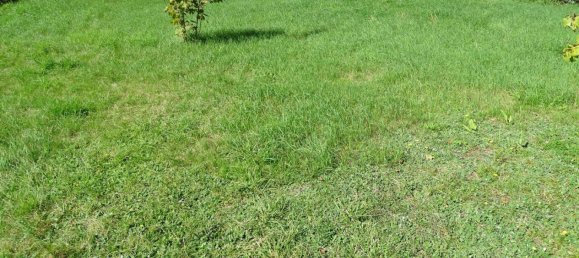 Terreno em Lorrach, Germany N.º 292843 5