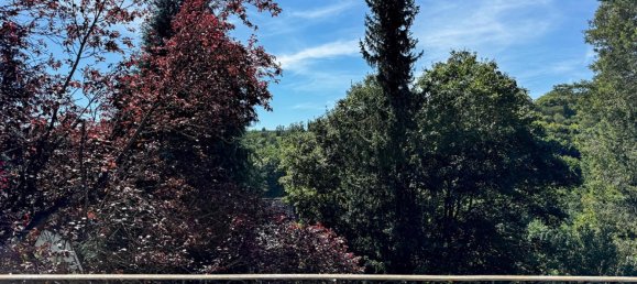 5 chambres Propriété commerciale à Birkenfeld, Germany No. 128077 9