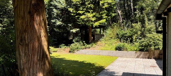 5 chambres Propriété commerciale à Birkenfeld, Germany No. 128077 3