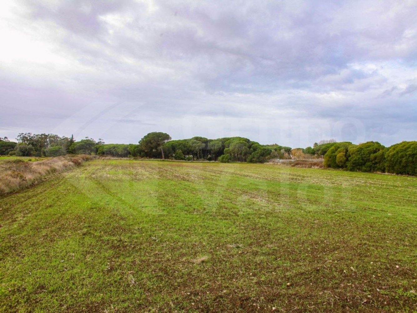 Земельный участок 17560м² в Синтра, Португалия № 81553