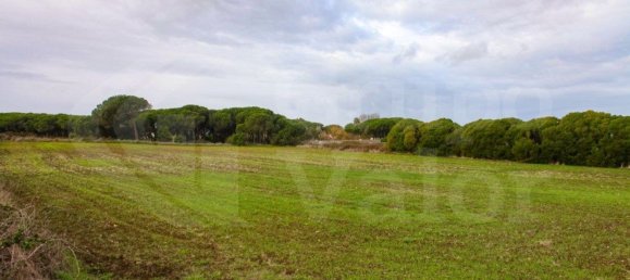 Земельный участок 17560м² в Синтра, Португалия № 81553 2