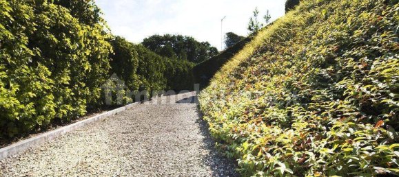 8 bedrooms Villa in Arezzo, Italy No. 106327 7