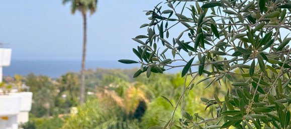 Apartamento T3 em Marbella, Spain N.º 189637 34