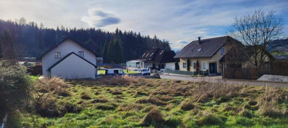  قطعة أرض في Ampflwang im Hausruckwald, Austria رقم 100034 5