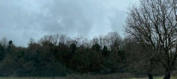 قطعة أرض في Sutri, Italy 159950متر مربع رقم 377164 8