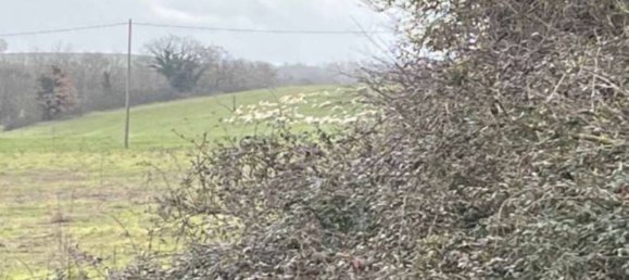 قطعة أرض في Sutri, Italy 159950متر مربع رقم 377164 11