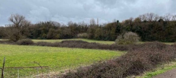 قطعة أرض في Sutri, Italy 159950متر مربع رقم 377164 6