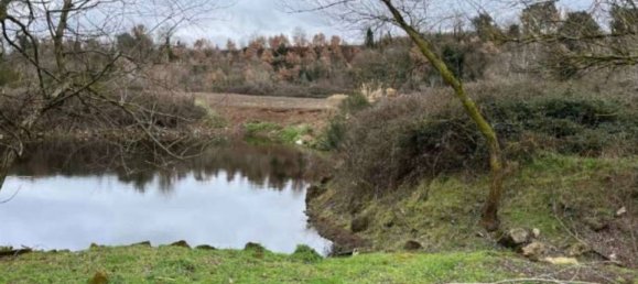 قطعة أرض في Sutri, Italy 159950متر مربع رقم 377164 4