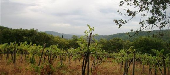 Дом с 12 комнатами в Бучине, Италия № 230814 15