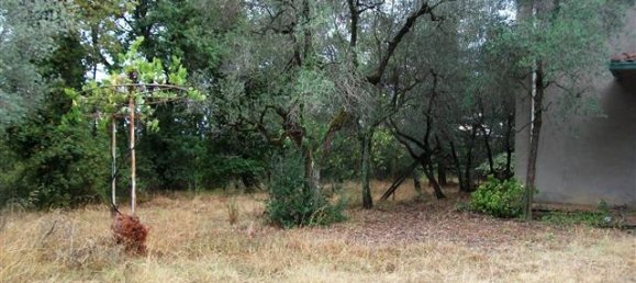 Дом с 12 комнатами в Бучине, Италия № 230814 4