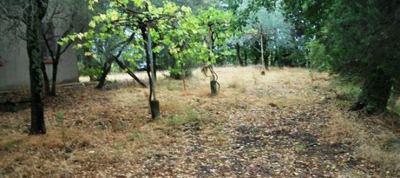 Дом с 12 комнатами в Бучине, Италия № 230814 10