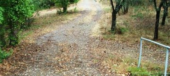 Дом с 12 комнатами в Бучине, Италия № 230814 14