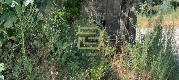 3 bedrooms House in Vandoma, Portugal No. 240534 27