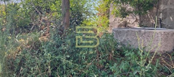 3 bedrooms House in Vandoma, Portugal No. 240534 25