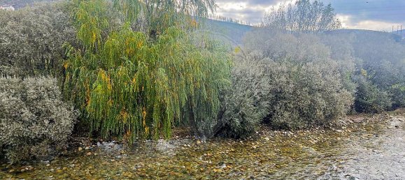 2 bedrooms House in Vale de Amoreira, Portugal No. 20372 2