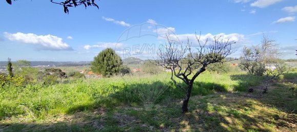 3 Schlafzimmer Haus in Ourem, Portugal, Nr. 28456 28