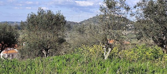 3 Schlafzimmer Haus in Ourem, Portugal, Nr. 28456 24
