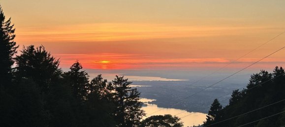 قطعة أرض في Lochau, Austria رقم 221522 11