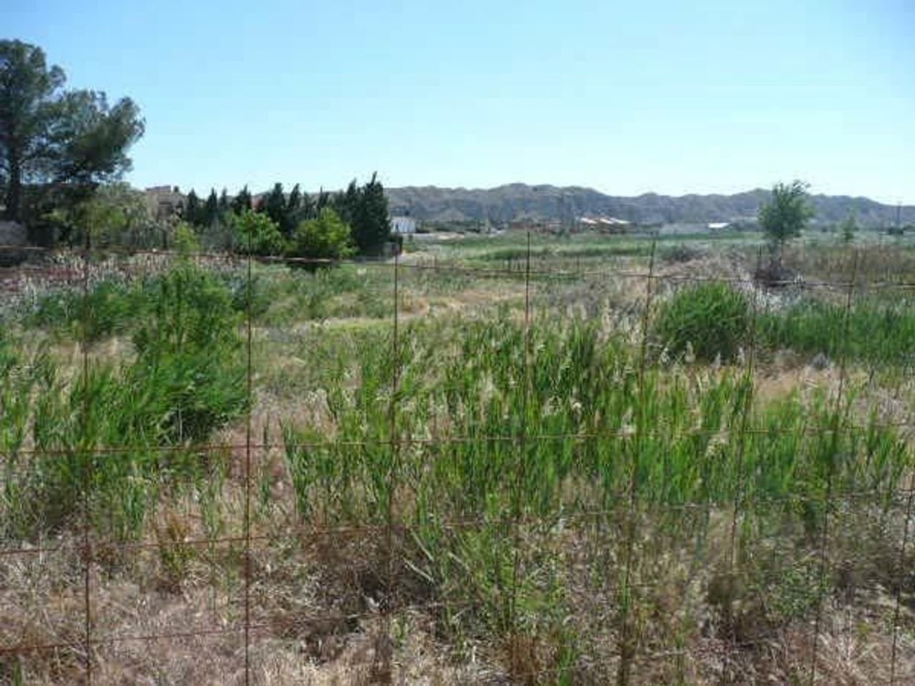 1749m² Land in Alfajarin, Spain No. 64140