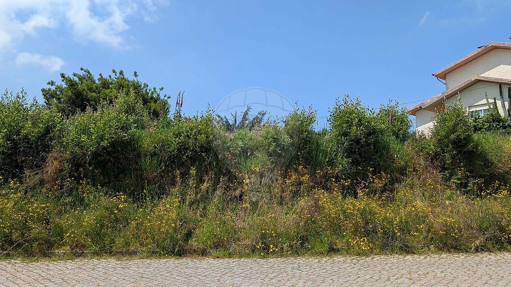 Terrain à Vila Nova de Gaia, Portugal No. 224554