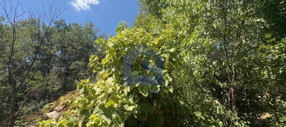 Casa T2 em Castel Frentano, Italy N.º 372872 31