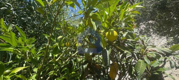 Casa T2 em Castel Frentano, Italy N.º 372872 39