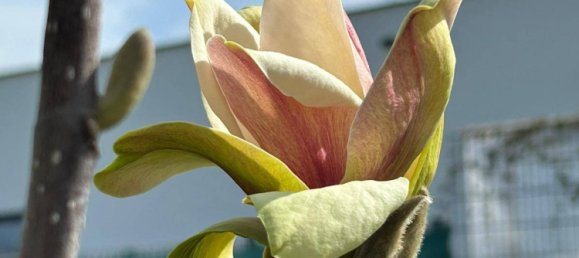 Дом с 3 спальнями в Мюнцбах, Австрия № 146181 17