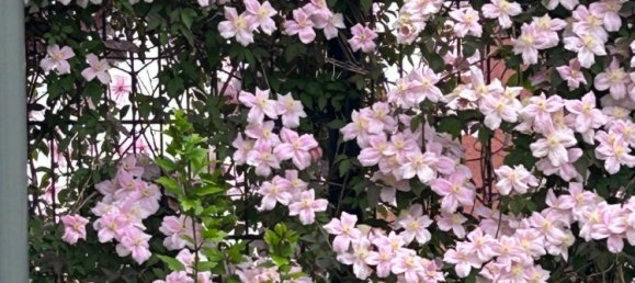 Дом с 3 спальнями в Мюнцбах, Австрия № 146181 16