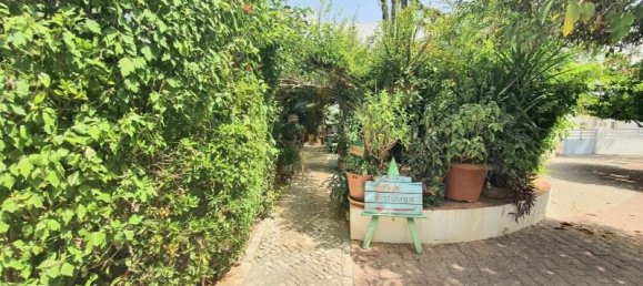 Gewerbliche Immobilie in Tavira, Portugal, Nr. 194348 16