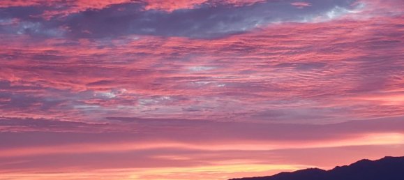 Moradia em banda T3 em Sant'Antonino, France N.º 270036 17