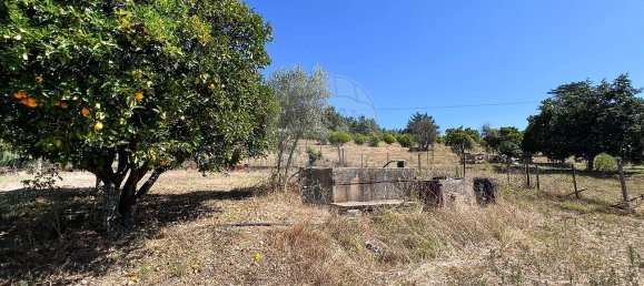 Дом с 3 спальнями в Томар, Португалия № 20838 26