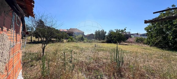 Дом с 3 спальнями в Томар, Португалия № 20838 25