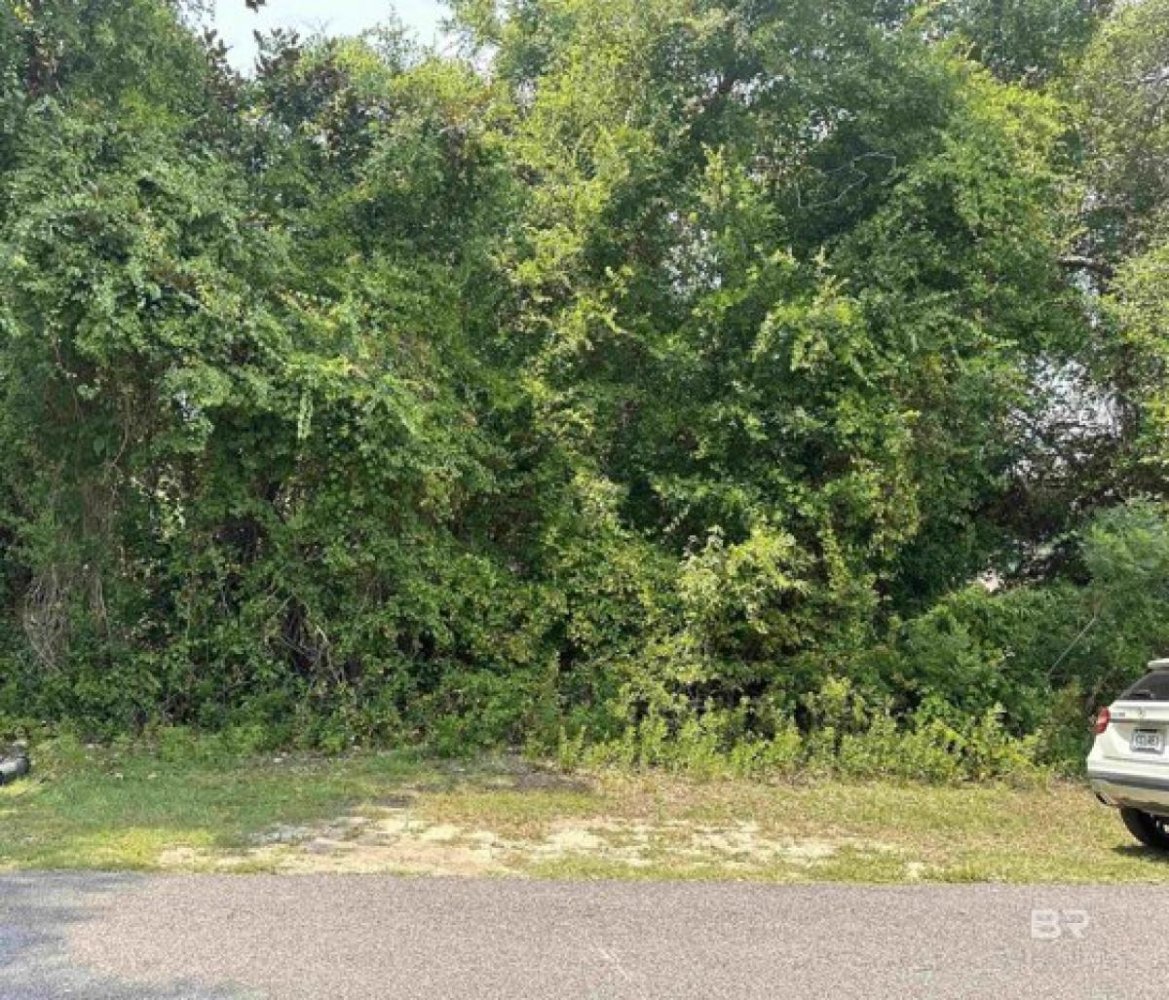  Land in Orange Beach, USA No. 482578