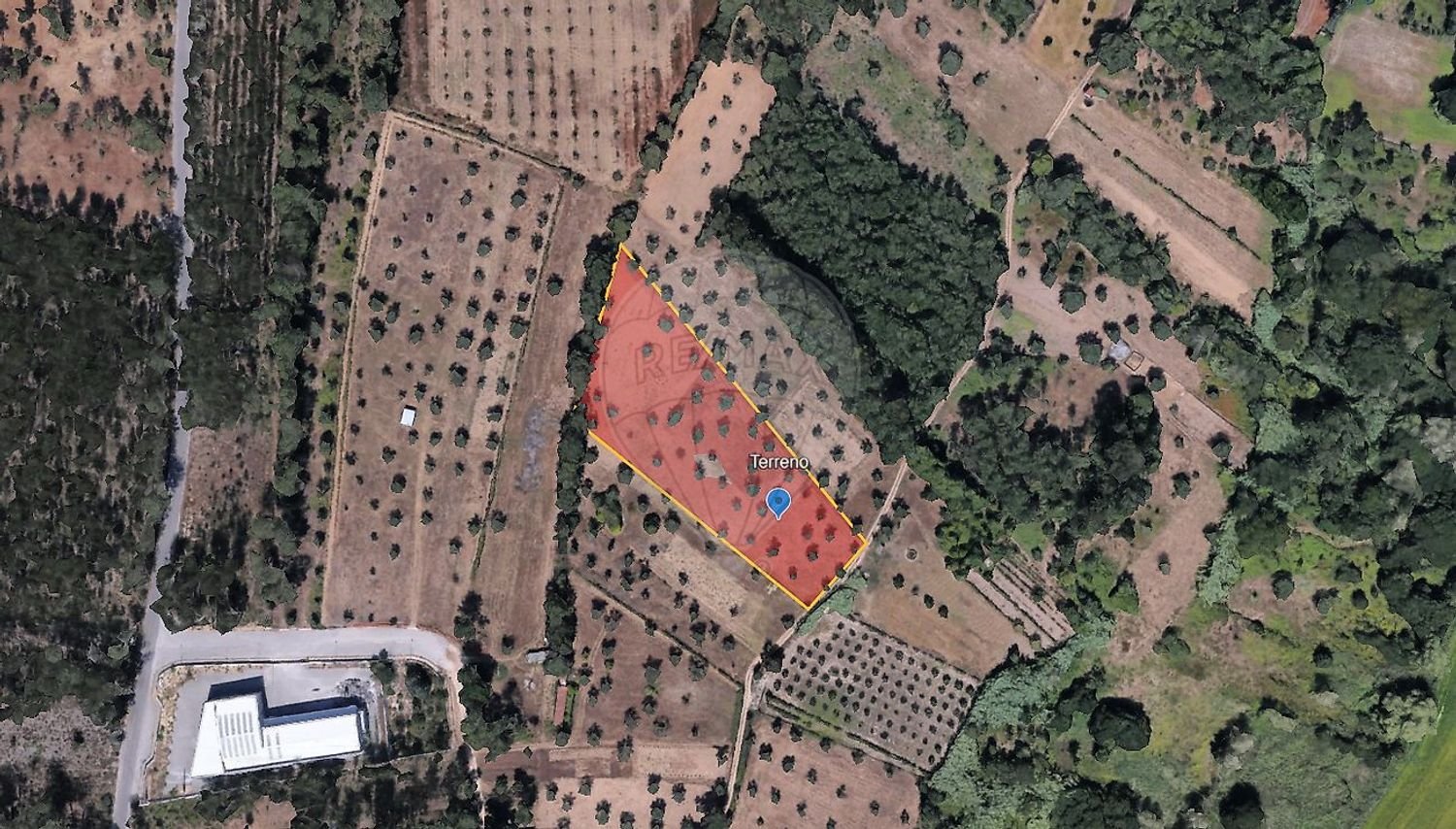  Land in Coimbra, Portugal No. 227471