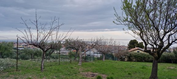 Grundstück in Tortoreto, Italy 1545m², Nr. 122949 7