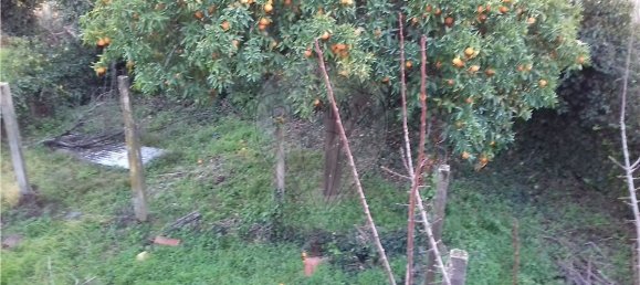 3 bedrooms House in Cabecudo, Portugal No. 36935 3