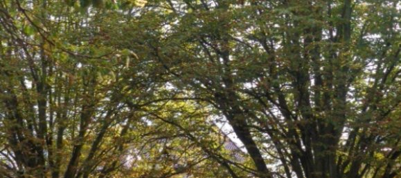 3 Schlafzimmer Haus in Burgenlandkreis, Germany, Nr. 19951 3