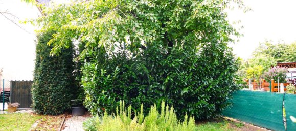 3 Schlafzimmer Haus in Burgenlandkreis, Germany, Nr. 19951 6