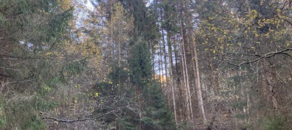  Commercial property in Bruck-Murzzuschlag, Austria No. 131679 5