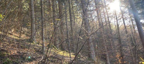  Commercial property in Bruck-Murzzuschlag, Austria No. 131679 7