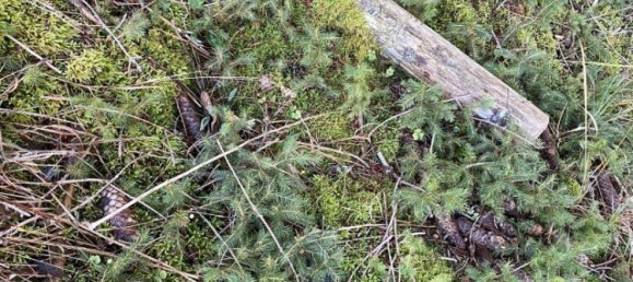  Commercial property in Bruck-Murzzuschlag, Austria No. 131679 9