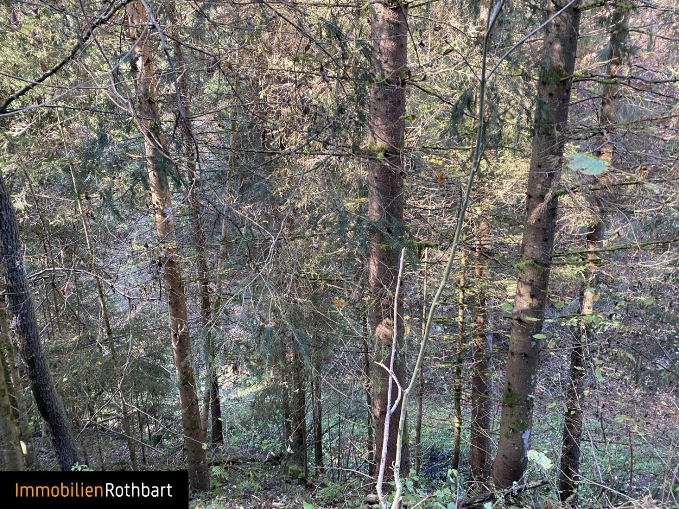  Commercial property in Bruck-Murzzuschlag, Austria No. 131679