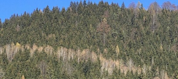  Commercial property in Bruck-Murzzuschlag, Austria No. 131679 12