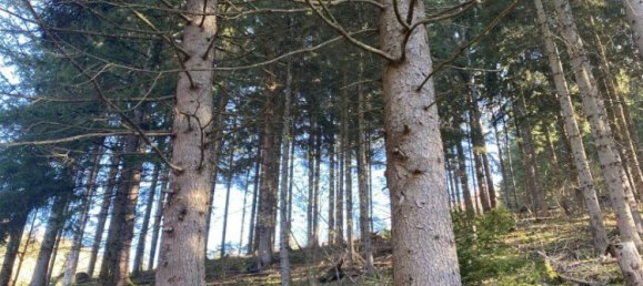  Commercial property in Bruck-Murzzuschlag, Austria No. 131679 6