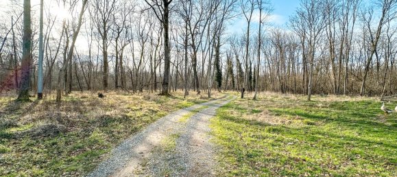 Casa de 5 divisões em Lenta, Italy N.º 236956 34